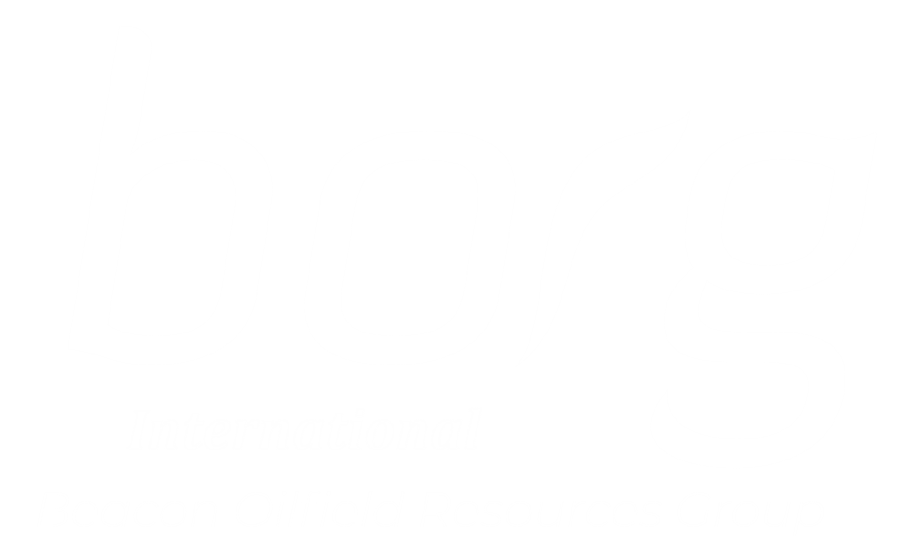 BORG International